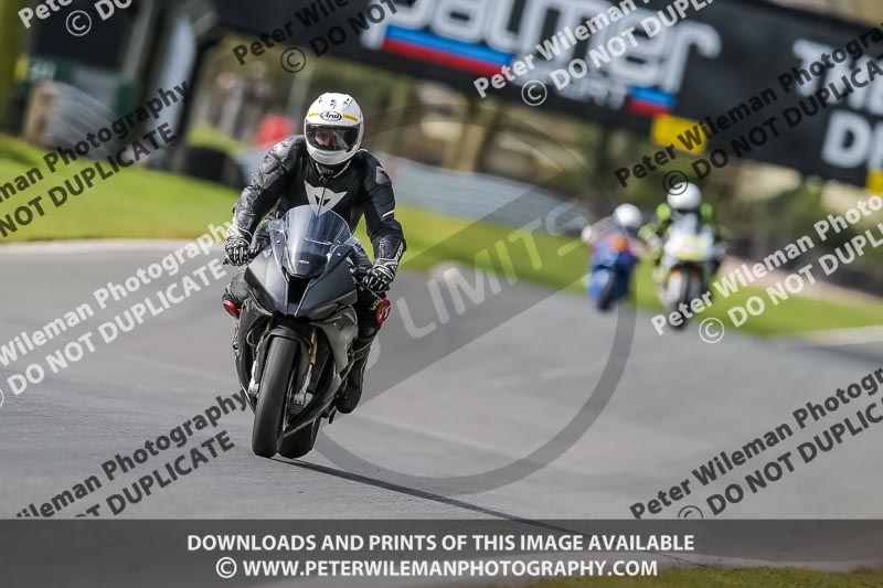 Oulton Park 21st March 2020;PJ Motorsport Photography 2020;anglesey;brands hatch;cadwell park;croft;donington park;enduro digital images;event digital images;eventdigitalimages;mallory;no limits;oulton park;peter wileman photography;racing digital images;silverstone;snetterton;trackday digital images;trackday photos;vmcc banbury run;welsh 2 day enduro